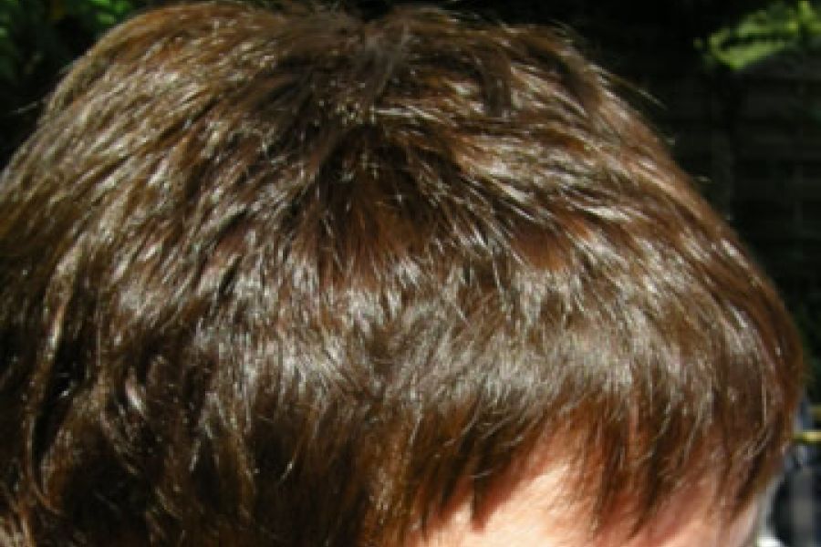 Mit Pflanzen gefärbte Haare